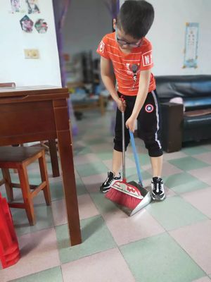 家務(wù)勞動(dòng)我來做——一年級(jí)暑期勞動(dòng)專題教育活動(dòng)(二) 保潔