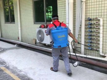 深圳臭蟲防治 工廠、宿舍、辦公室與家庭全面消殺指南